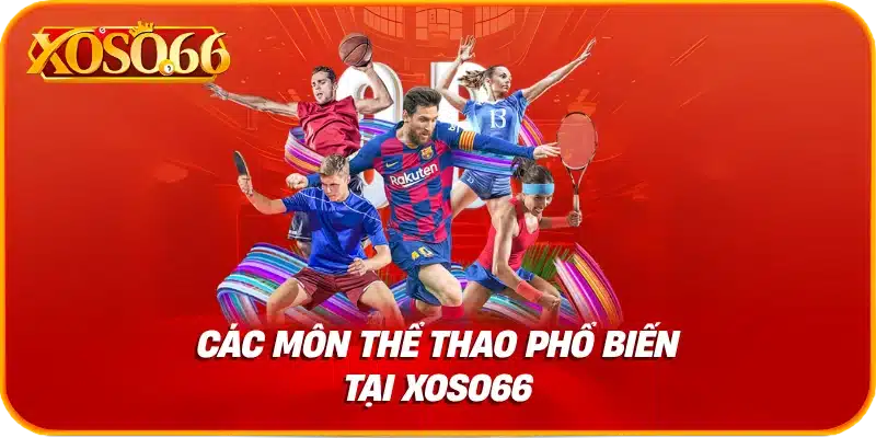 Các môn thể thao phổ biến tại xoso66