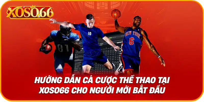 Hướng dẫn cá cược thể thao tại xoso66 cho người mới bắt đầu