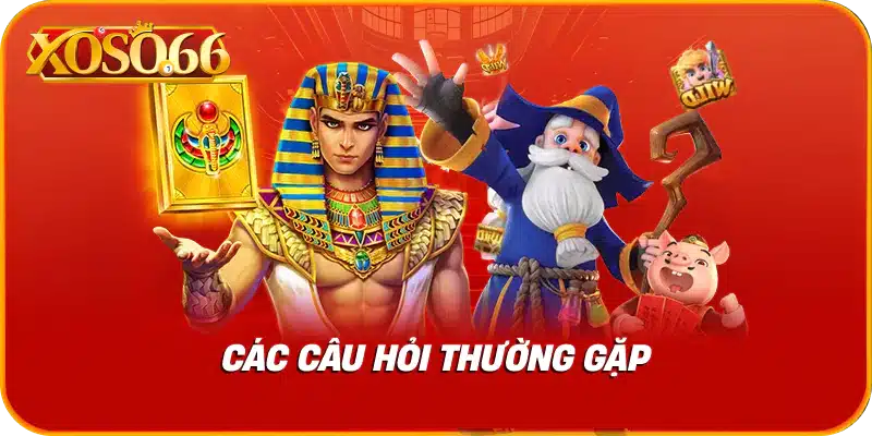 Các câu hỏi thường gặp