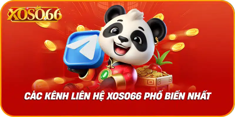 Các kênh liên hệ xoso66 phổ biến nhất