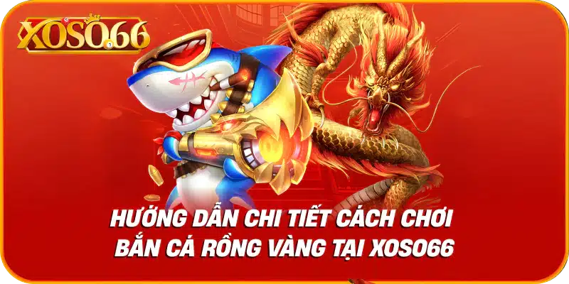 Hướng dẫn chi tiết cách chơi bắn cá rồng vàng tại xoso66