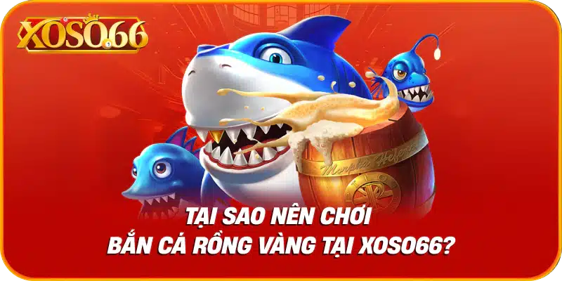 Tại sao nên chơi bắn cá rồng vàng tại xoso66?