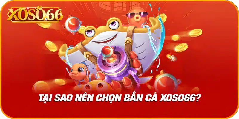 Tại sao nên chọn bắn cá xoso66?
